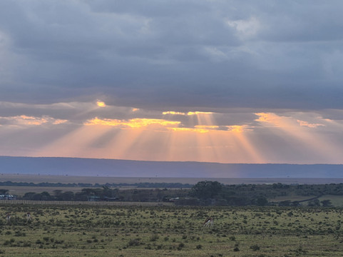 Entice Africa Safaris-内罗毕必去景点