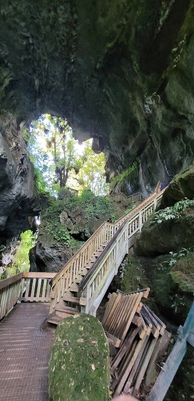 棕榈阁汽车旅馆主图