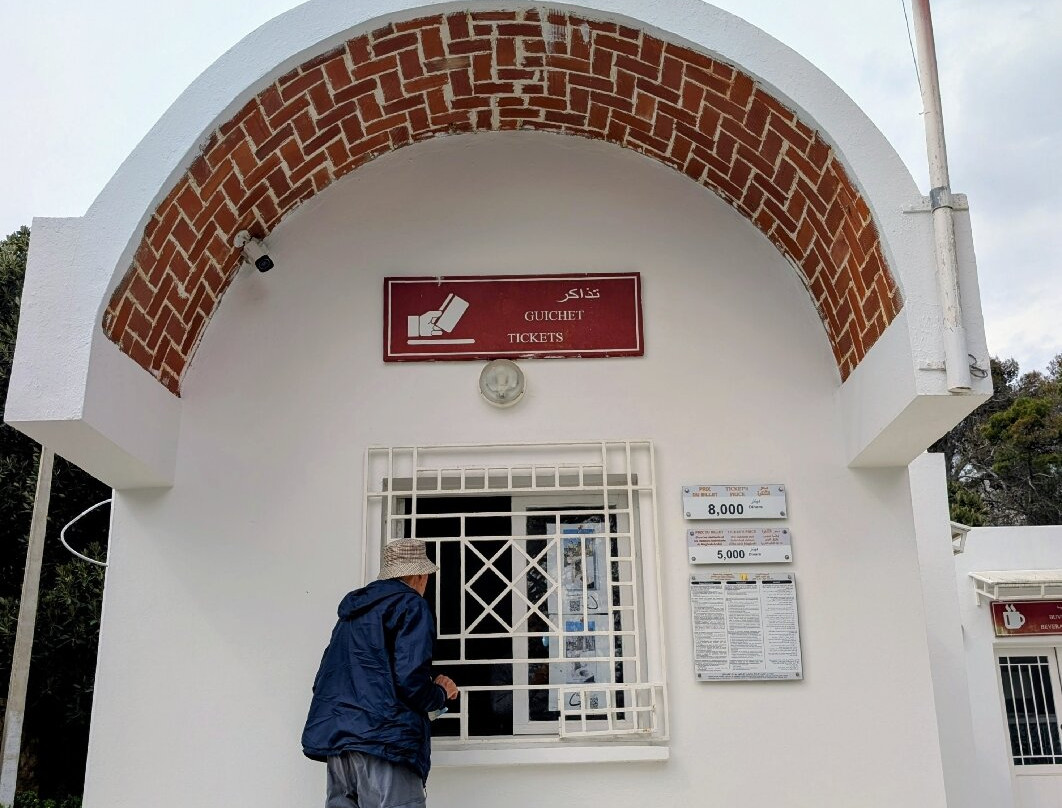 Utica-比塞大必去景点