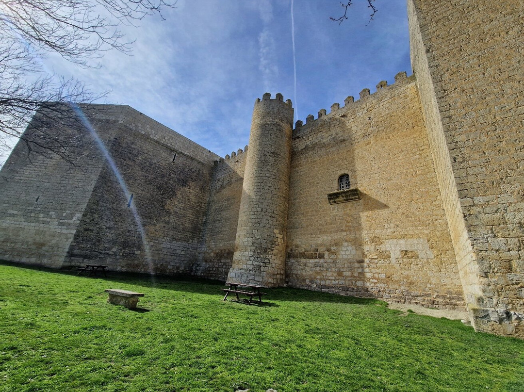 Castillo de Montealegre de Campos-Montealegre de Campos必去景点