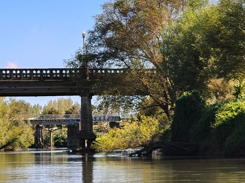 Adventure Te Aroha- 蒂阿罗哈必去景点