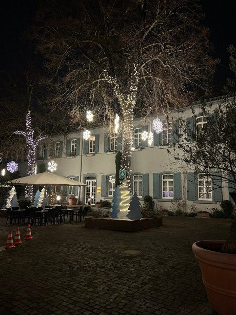 多姆霍夫酒店-官方