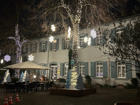 多姆霍夫酒店主图