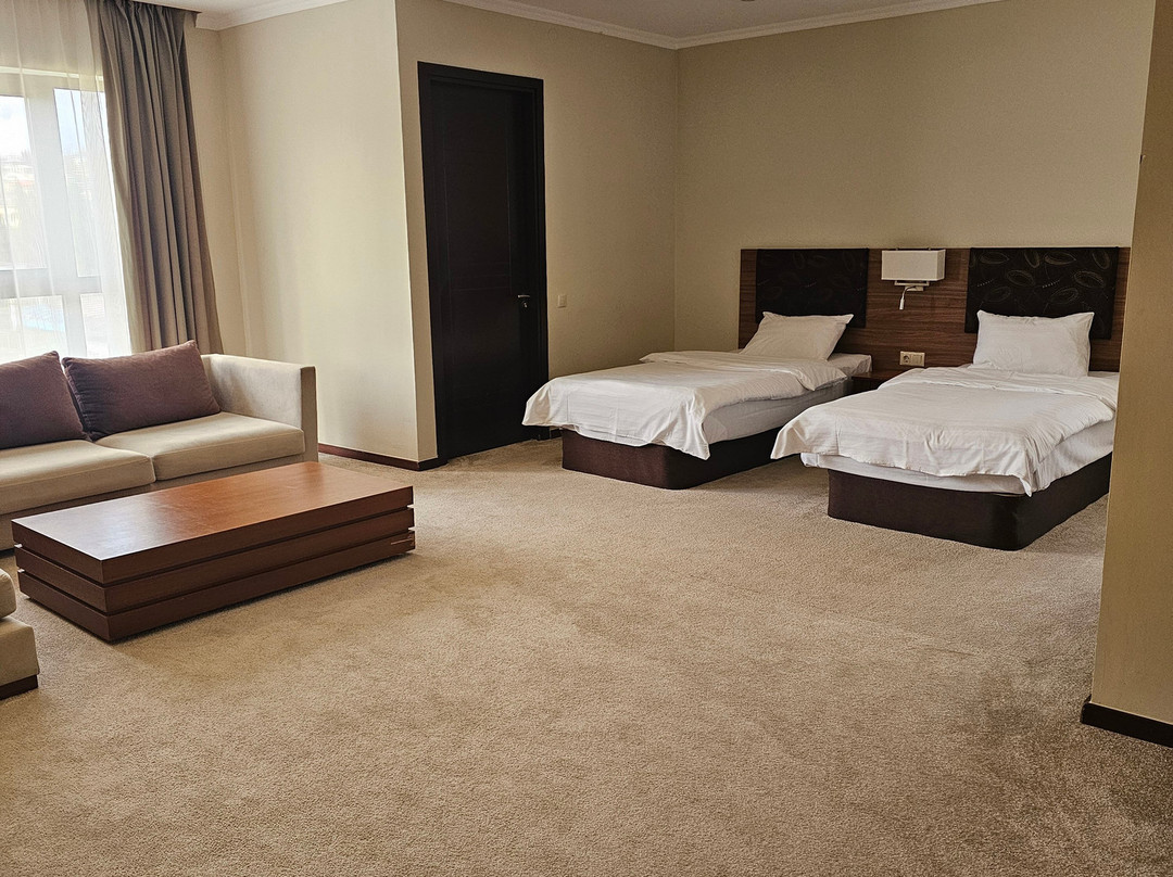 茨卡尔图博广场酒店主图