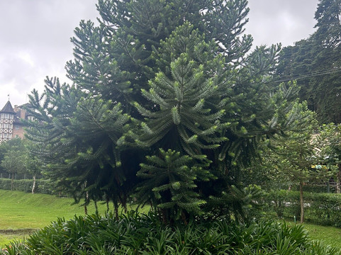 Parque da Lagoinha-坎普斯－杜若尔当必去景点