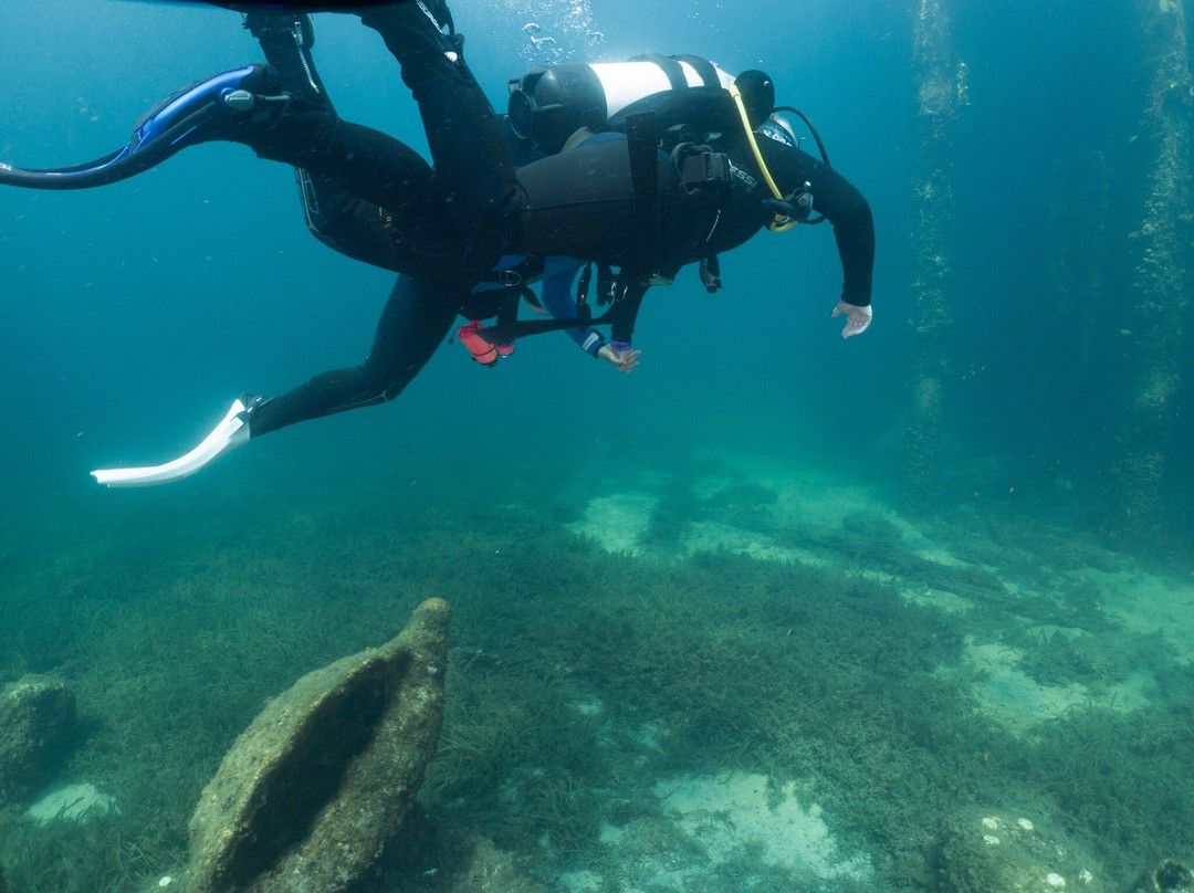 Swan Dive Busselton-巴瑟尔顿必去景点
