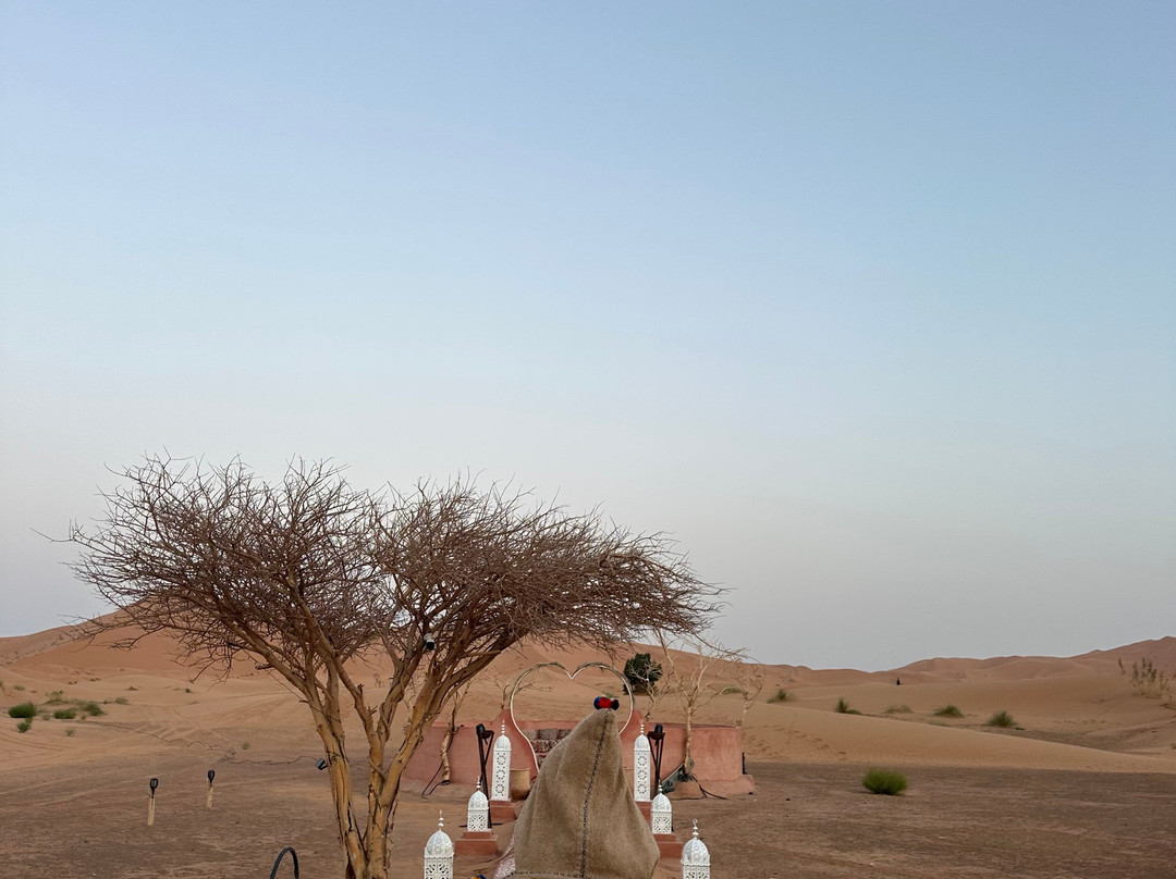 Magic Desert Tours-瓦尔扎扎特必去景点