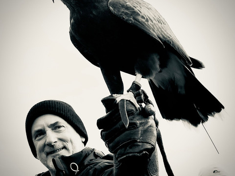 North Devon Hawk Walks-South Molton必去景点