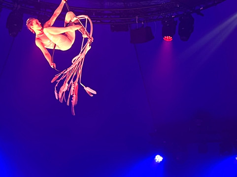 Cabaret Cirque National Palace-Vierzon必去景点