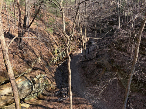 Wildcat Den State Park-Muscatine必去景点