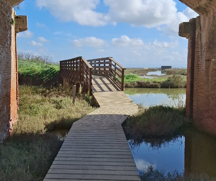 Riserva Naturale Diaccia Botrona-佩斯卡亚堡必去景点