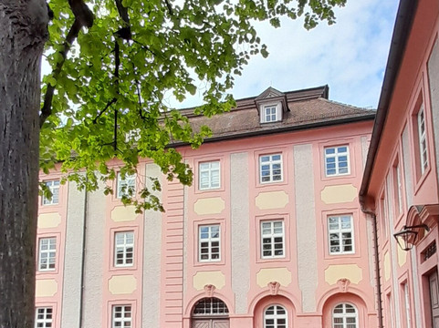 Historische Bibliothek im Ludwig-Wilhelm-Gymnasium-拉施塔特必去景点