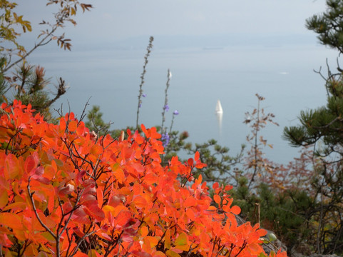 Sentiero Rilke-Duino必去景点