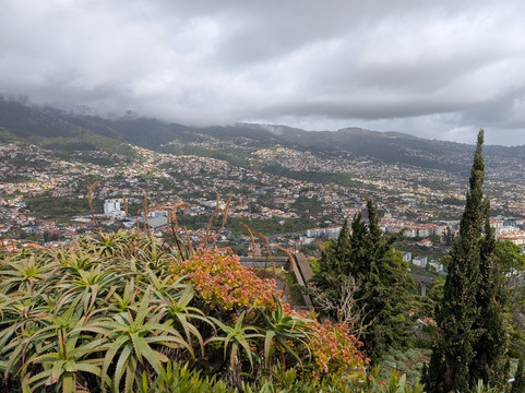 Miradouro Pico Dos Barcelos-沙尔必去景点