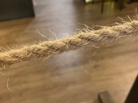 Bridport Museum-布里德波特必去景点