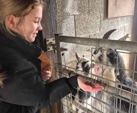 Lincoln Zoo-Newball必去景点