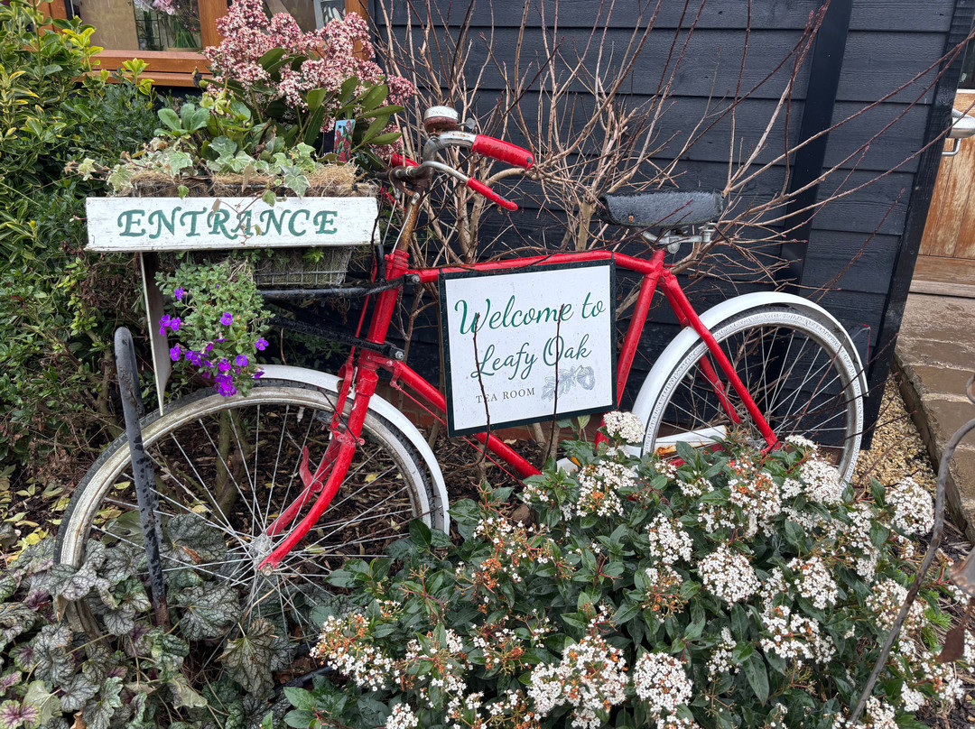 Leafy Oak Tea Room