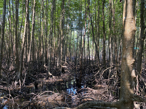 Tung Prong Thong-Ban Pak Nam Krasae必去景点
