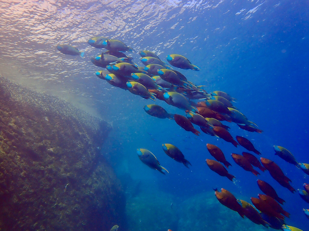 Loma Diving Adventure-拉克山必去景点