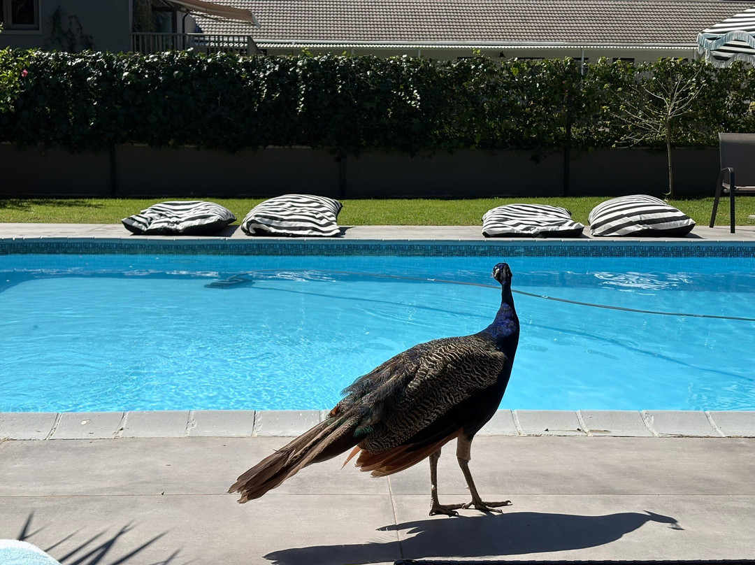 霍桑精品酒店主图