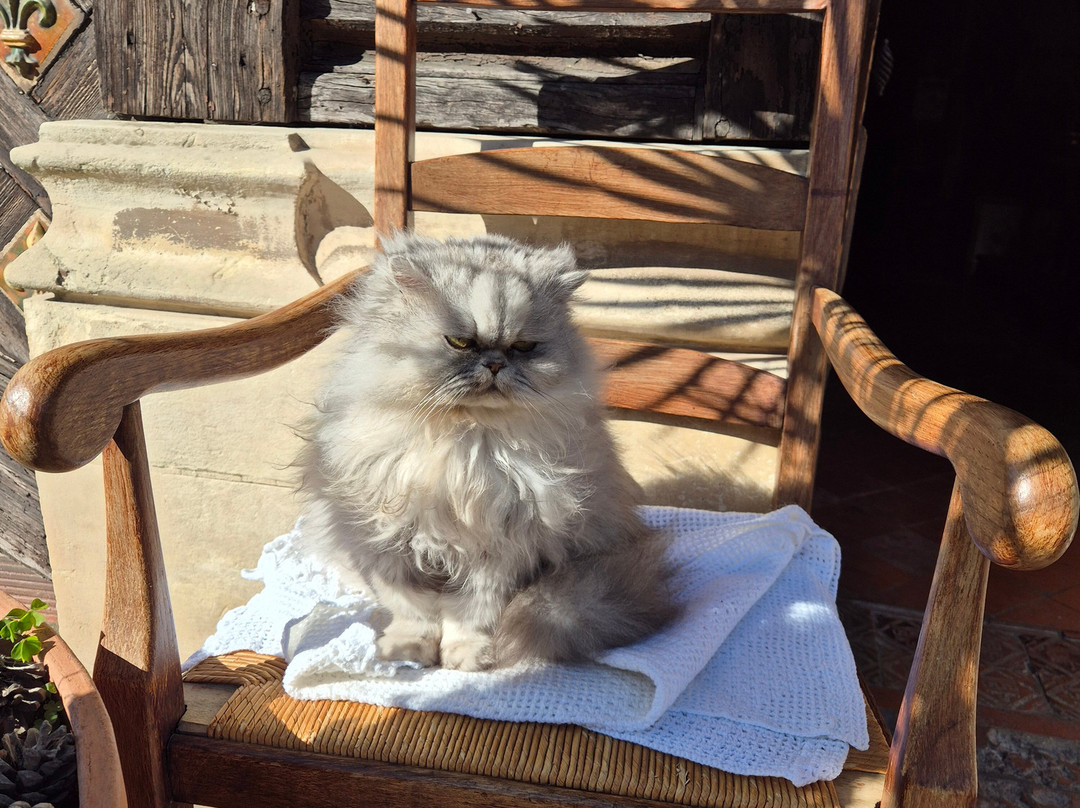 La Poterie du Mesnil de Bavent-Bavent必去景点