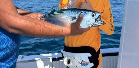 Funny Tours Costa Rica-利比里亚必去景点