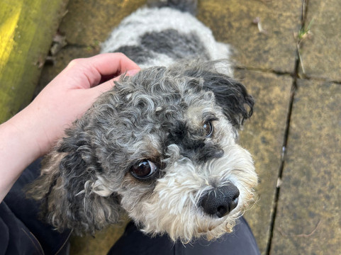 Wee Eden-West Calder必去景点