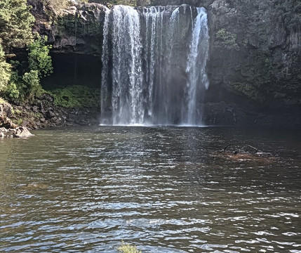 Rainbow Falls-Kerikeri必去景点