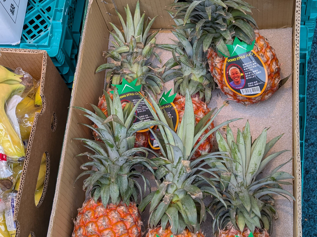 Kobe Motomachi Shopping Street-神户市必去景点