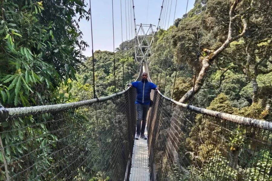 Nyungwe National Park - Rwanda-Western Province必去景点