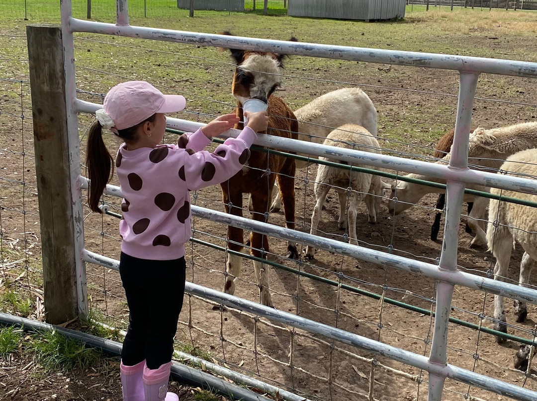 Animal Land Children's Farm-Diggers Rest必去景点