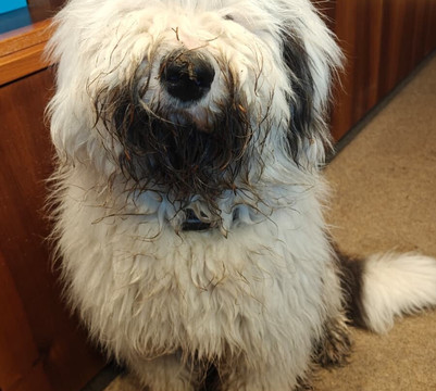 松加阿尔卑斯云谷酒店主图