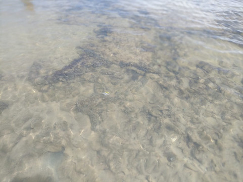 泽纳别墅旅馆主图