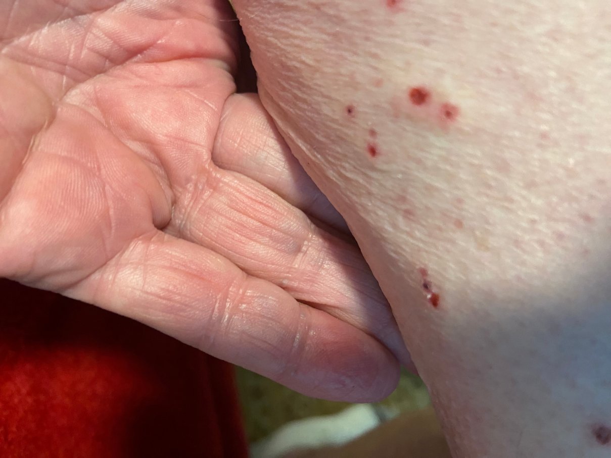 纳什维尔/富兰克林/冷泉凯悦嘉轩酒店-客卧