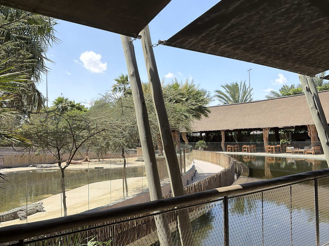 Dubai Crocodile Park-迪拜必去景点
