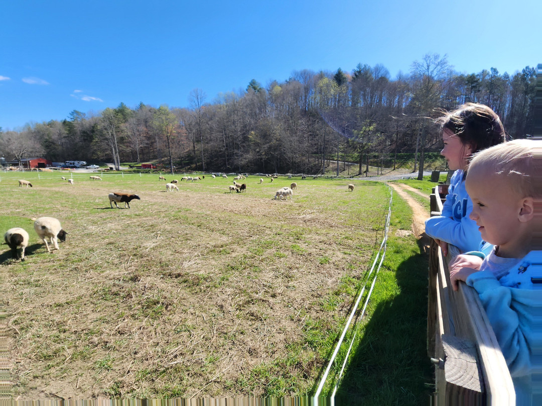 Cress Creeks Farm And Corn Maze-Ellijay必去景点