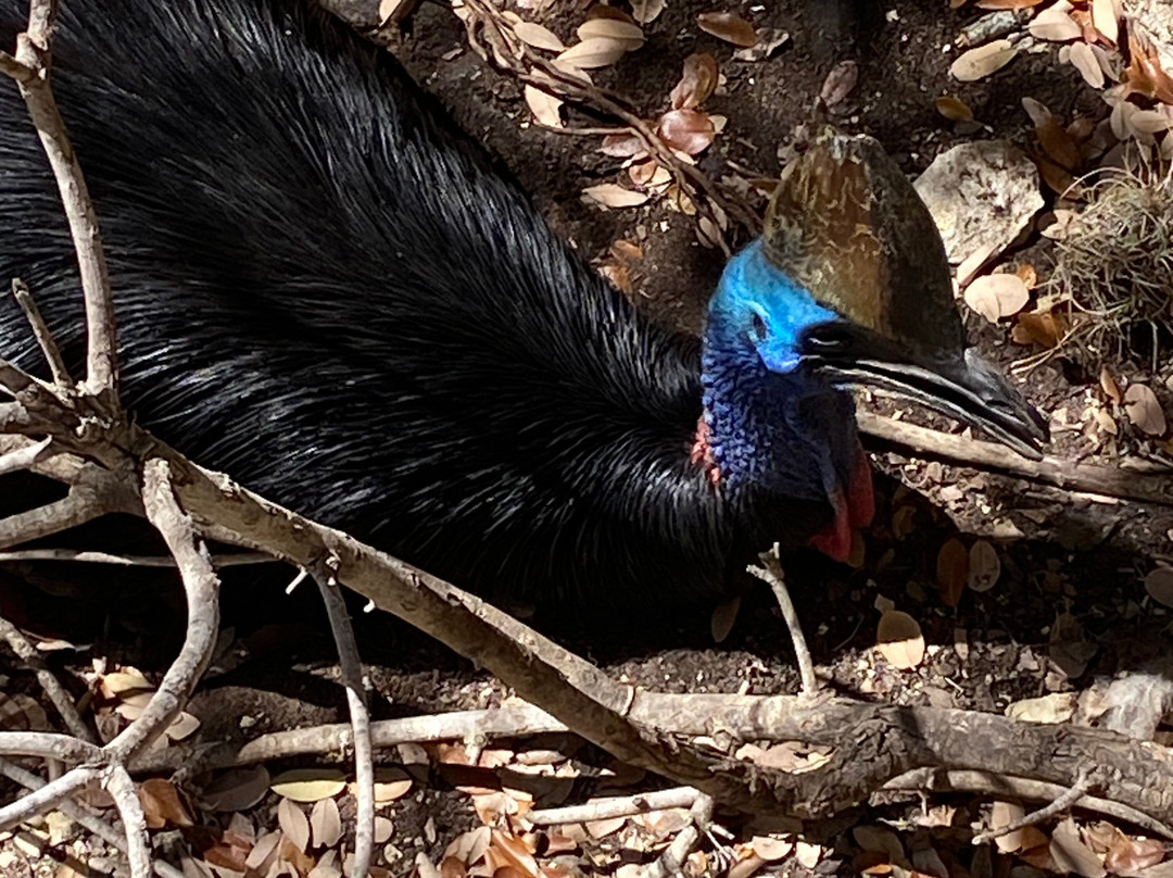San Antonio Zoo-圣安东尼奥市必去景点