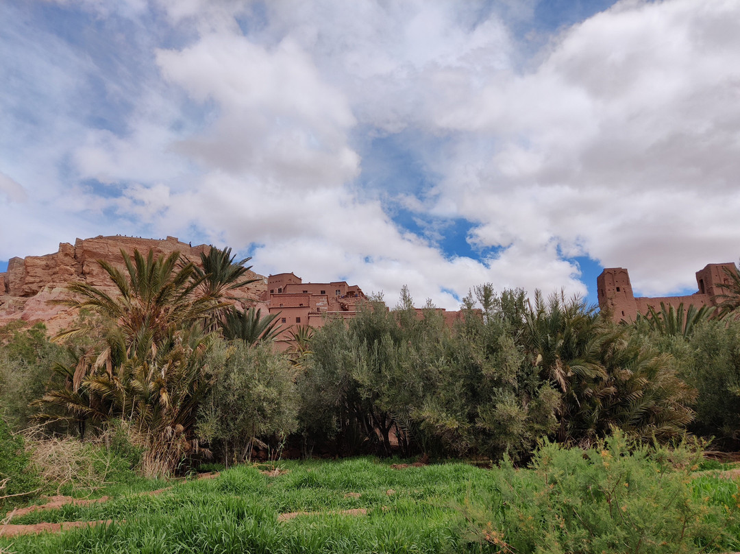 Sky Morocco Trips-非斯必去景点