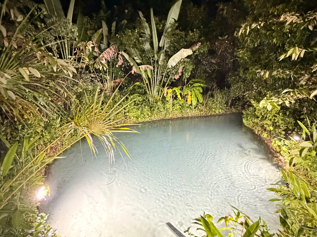 Cenario Nativo Expedicoes-Mateiros必去景点