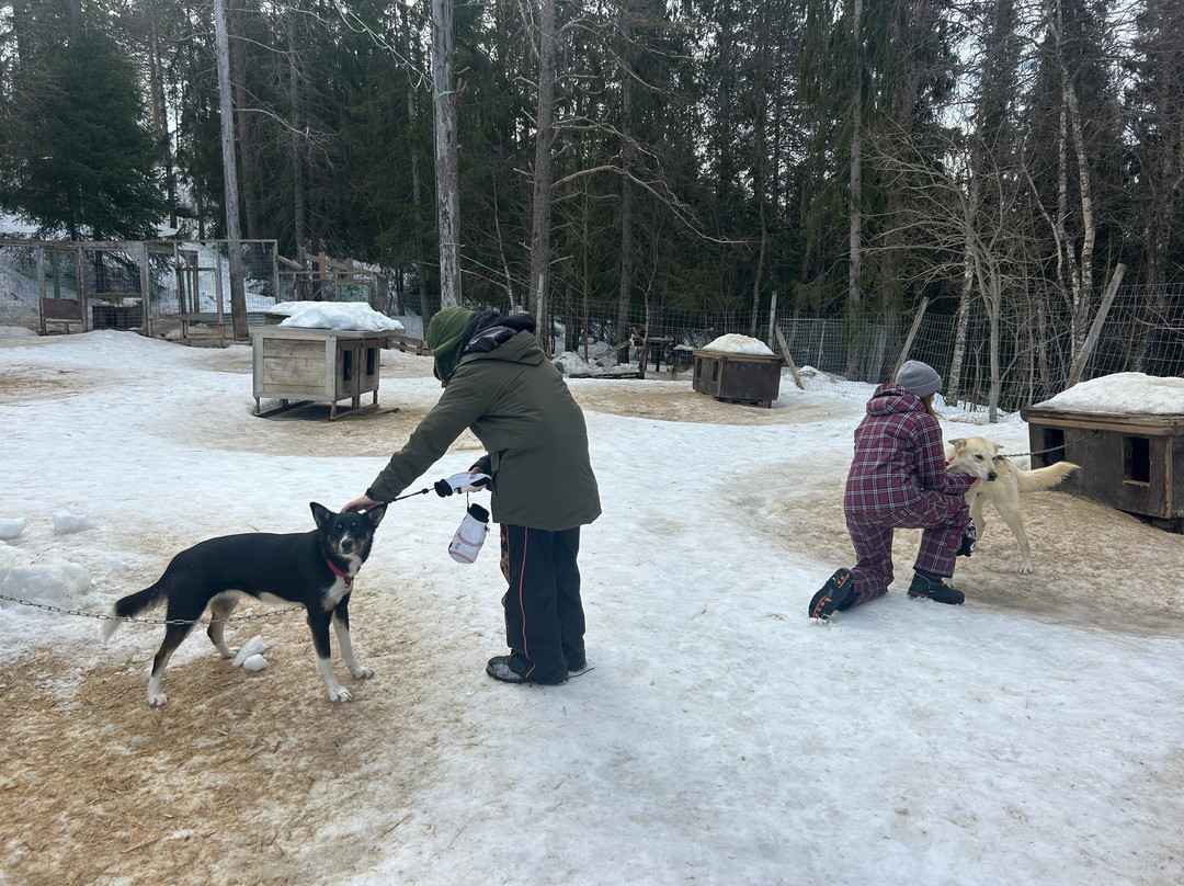 Beito Husky Tours Day Tours-Beito必去景点
