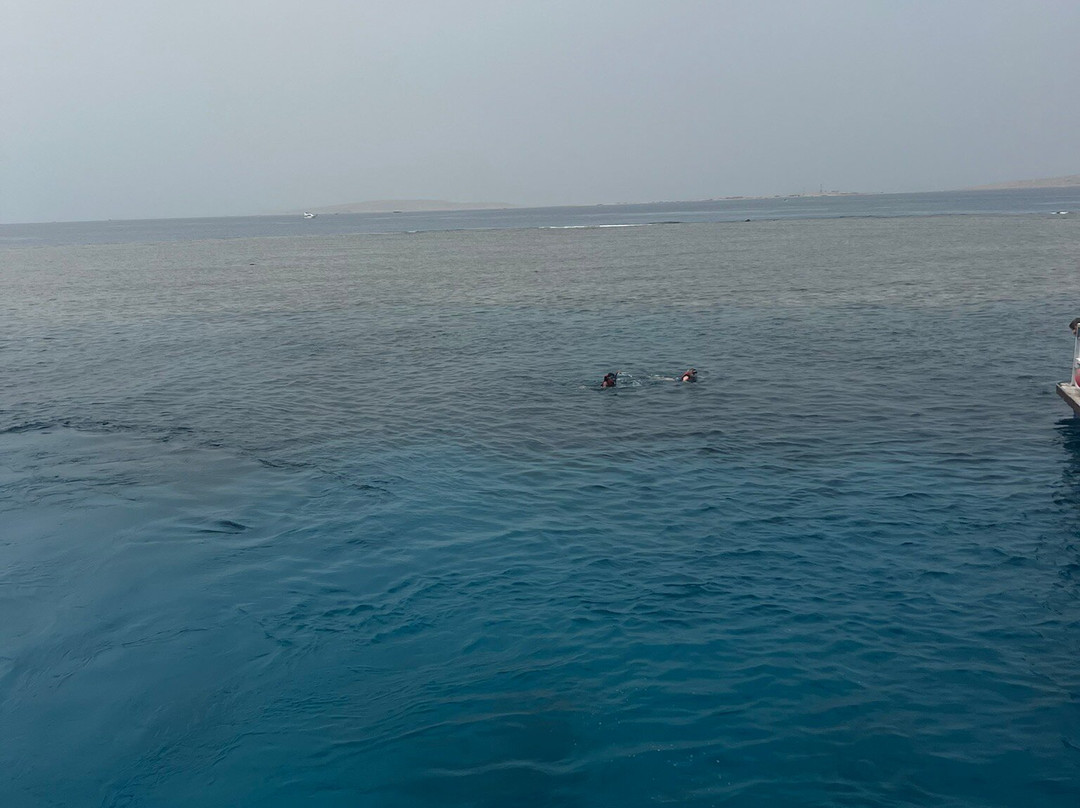 La Perla Dive Club-Sahl Hasheesh必去景点