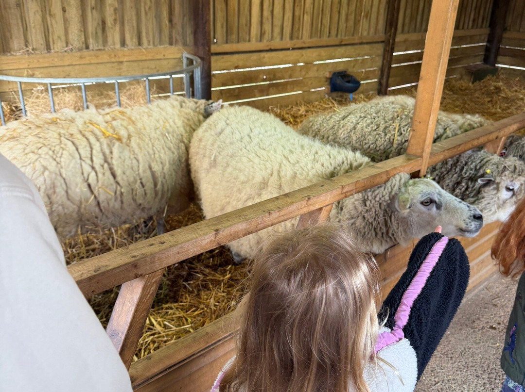 West Lodge Farm Park-Desborough必去景点