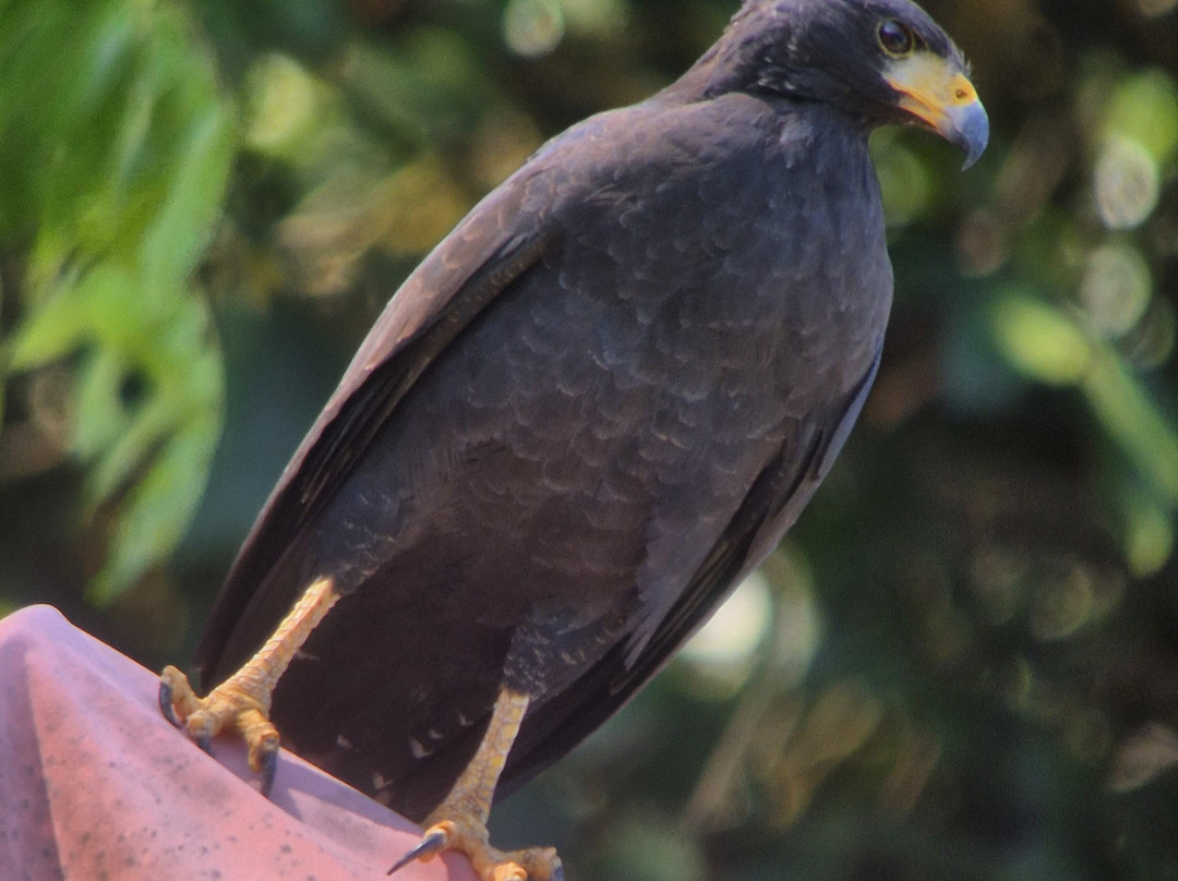 Surcos Tours-希门尼斯港必去景点