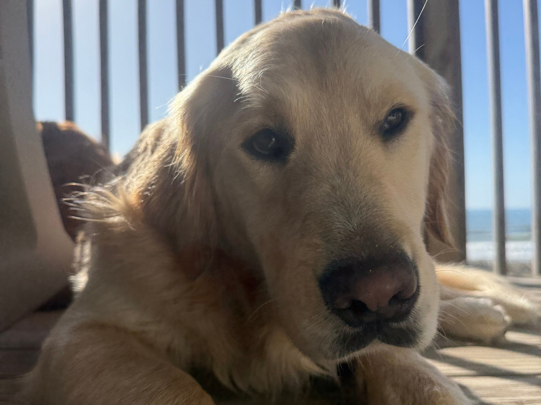 海景汽车旅馆主图