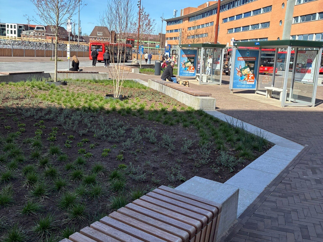 Station Hilversum-Hilversum必去景点