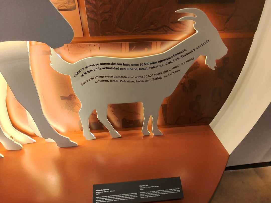 Museo Del Vaquero De Las Californias-El Triunfo必去景点