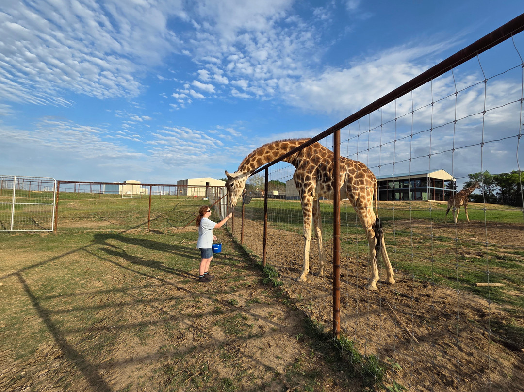 Blue Hills Ranch-McGregor必去景点