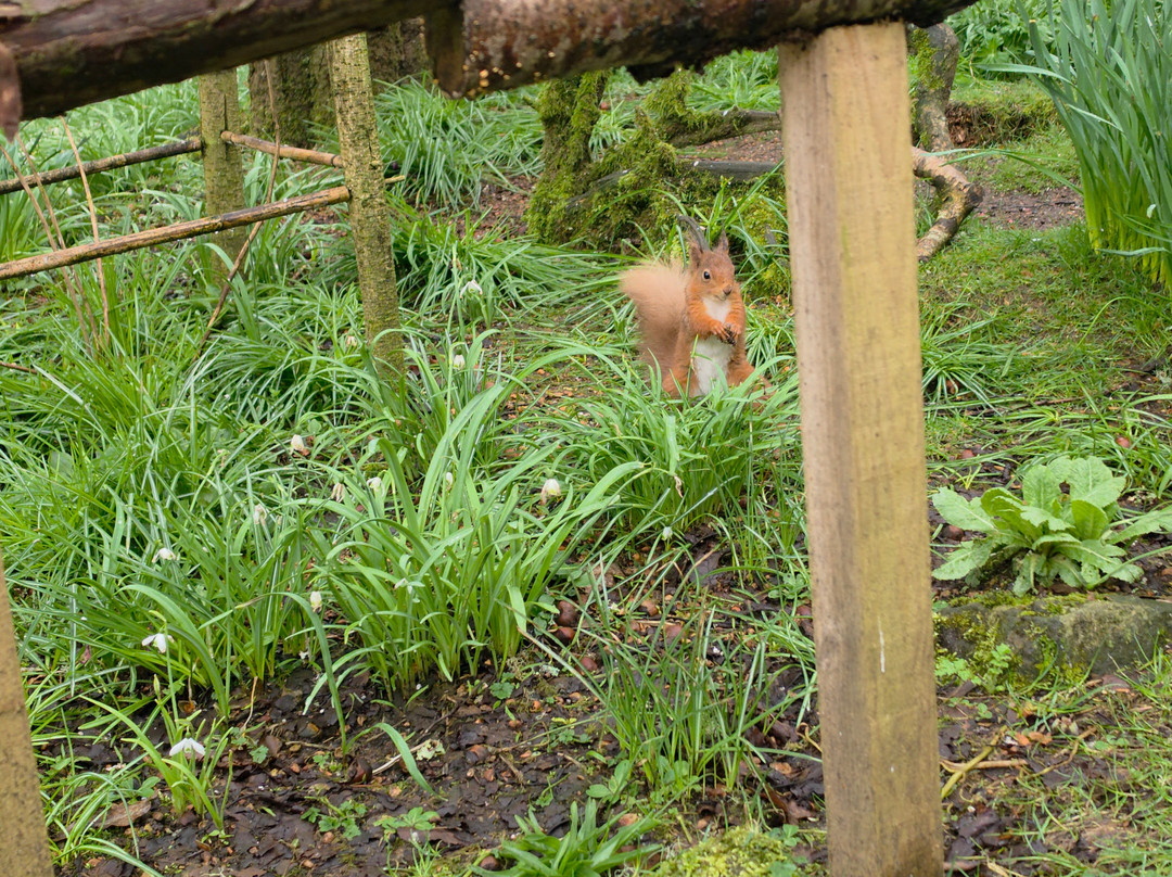 Cluny House Gardens-Aberfeldy必去景点