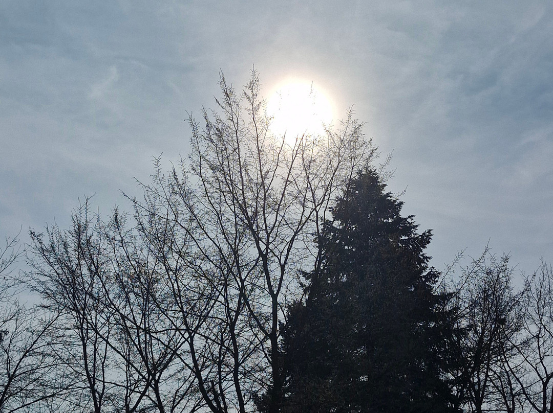 达斯公园酒店主图