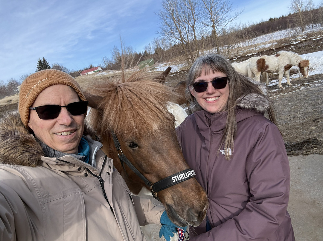 Sturlureykir Horses/Visiting HorseFarm-Reykholt必去景点